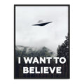 X Files I Want To Believe Poster 12"X16" C9214