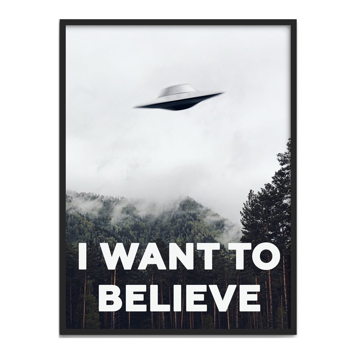 X Files I Want To Believe Poster 12"X16" C9214