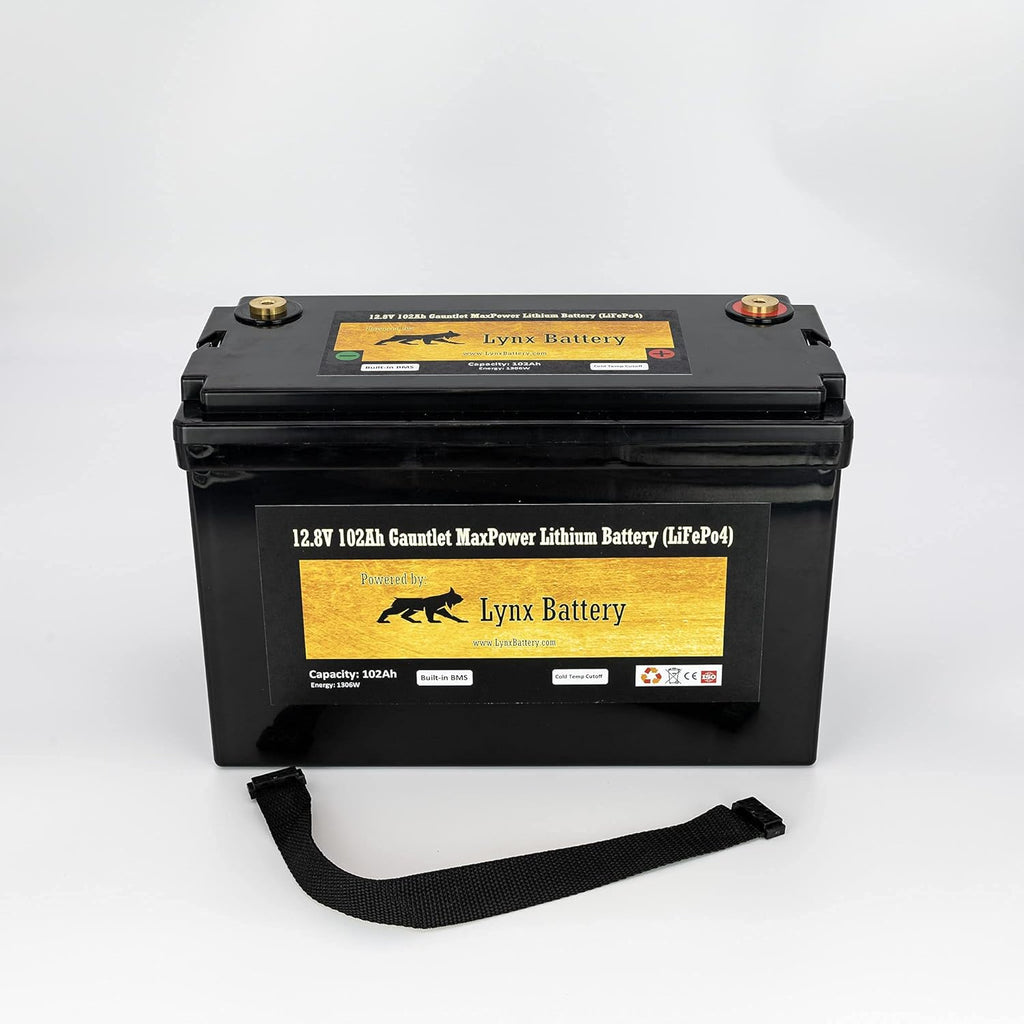 12V 100Ah Lithium Iron Phosphate LiFePO4 Battery with BMS Z492719