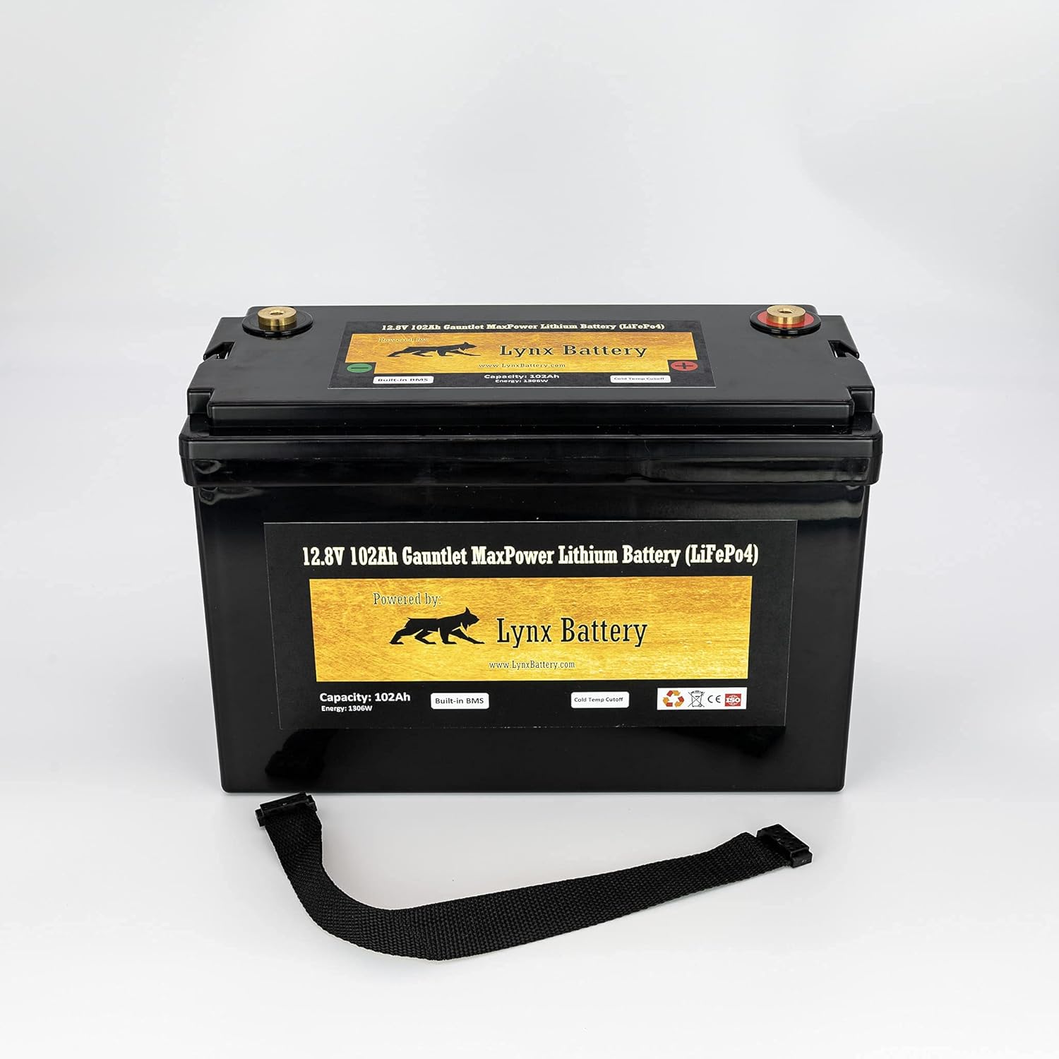 12V 100Ah Lithium Iron Phosphate LiFePO4 Battery with BMS Z492719
