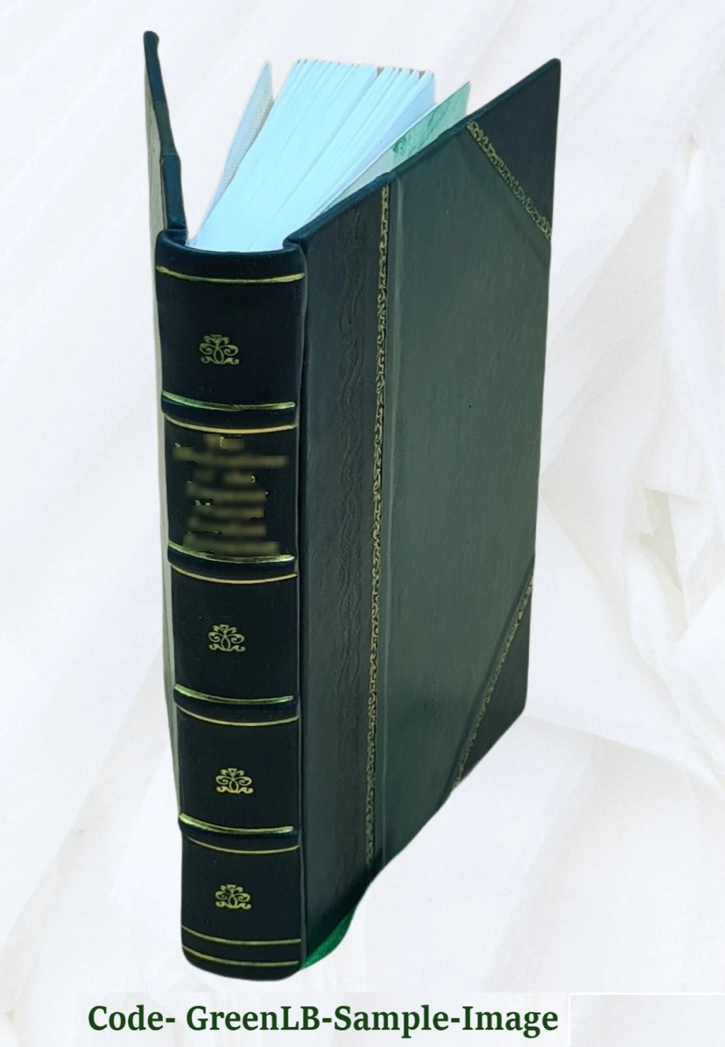 Leather Bound Book Z6395