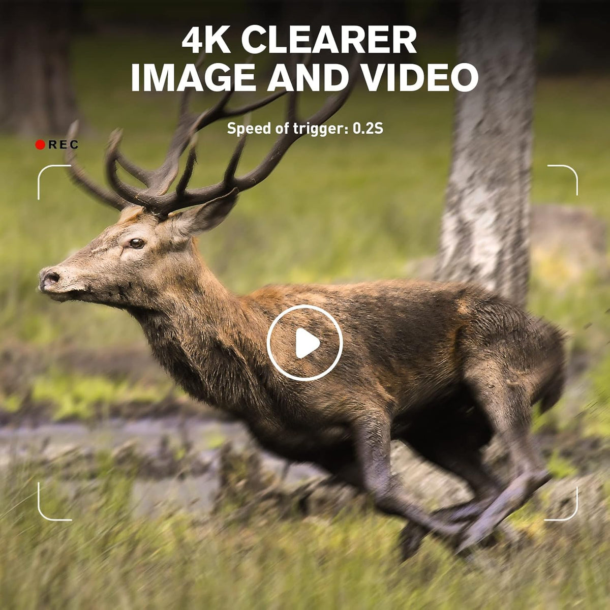4K 30MP Night Vision Motion Activated Waterproof WiFi Bluetooth Trail Camera G28298