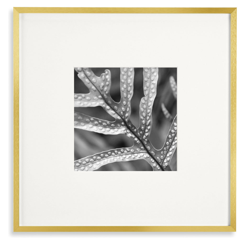 Gold 11x11 in Frame C91710