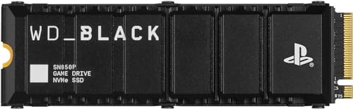 8TB NVMe M.2 SSD with Heatsink R74398