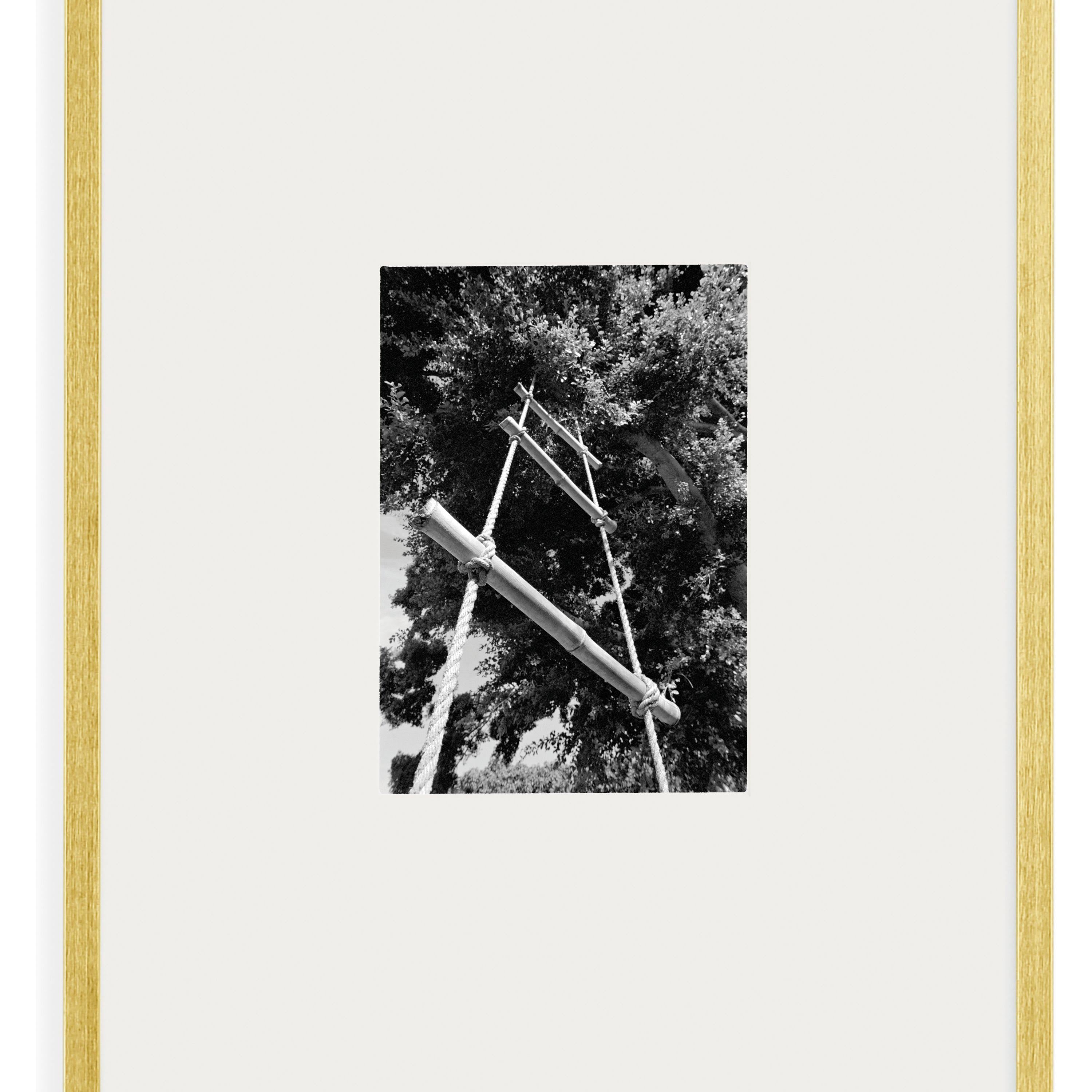 Gold 11x11 in Frame C91710