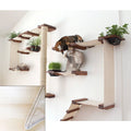 Cat Mod Garden Complex H656346