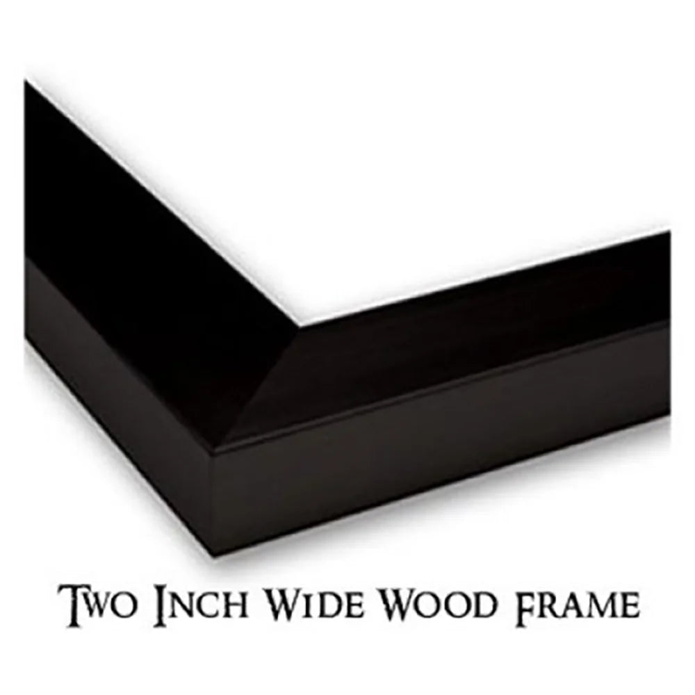 Black Modern Framed Museum Art Print N7832