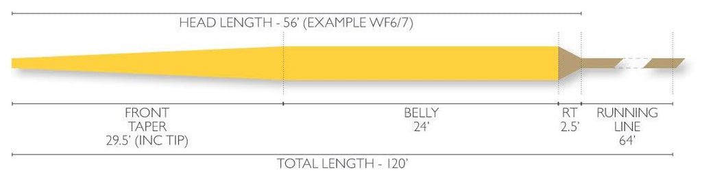 Spey 2 Fly Line X399146