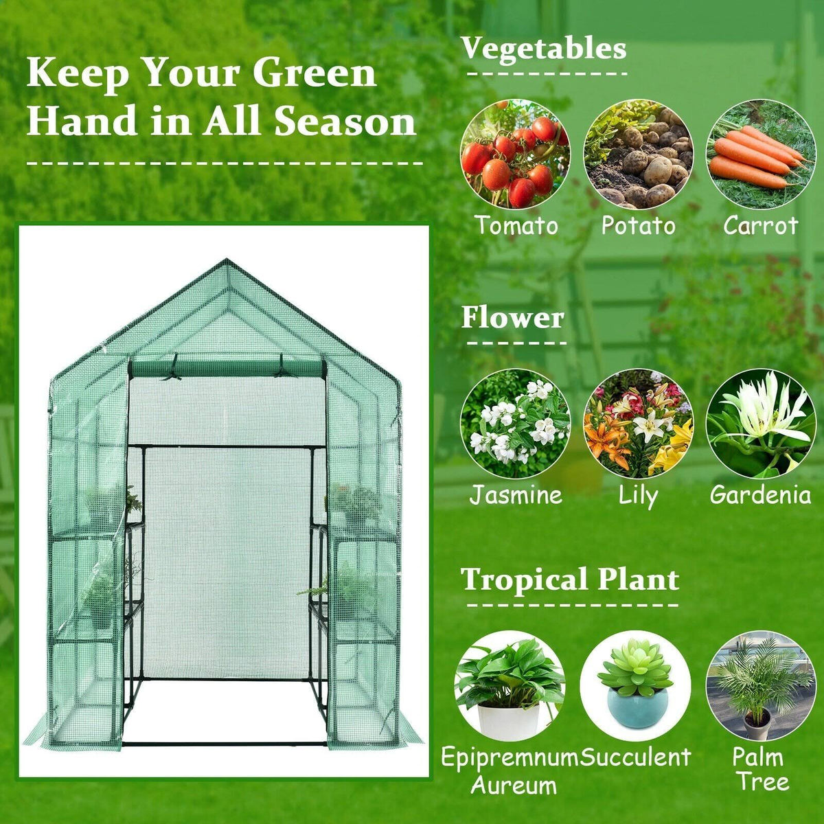 Walk-In Greenhouse with Observation Windows Y7690