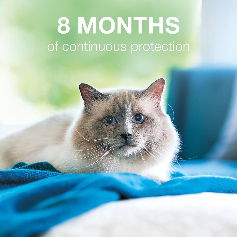 Flea and Tick Collar for Cats, 8-month, Pack of 2 W7763