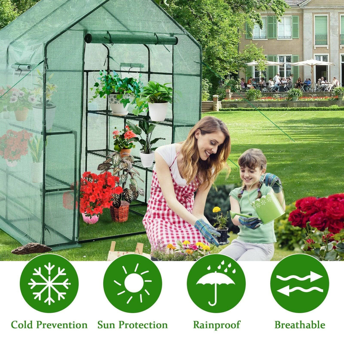 Walk-In Greenhouse with Observation Windows Y7690