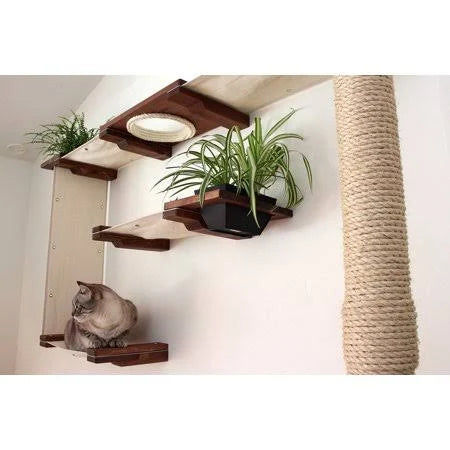 Cat Mod Garden Complex H656346