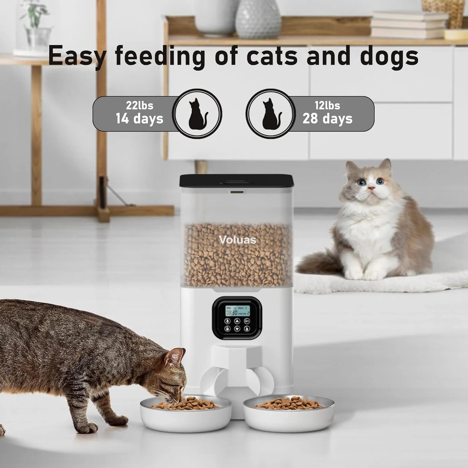 Automatic Cat Feeder with 2 Stainless Steel Bowls, 6L Timed W890
