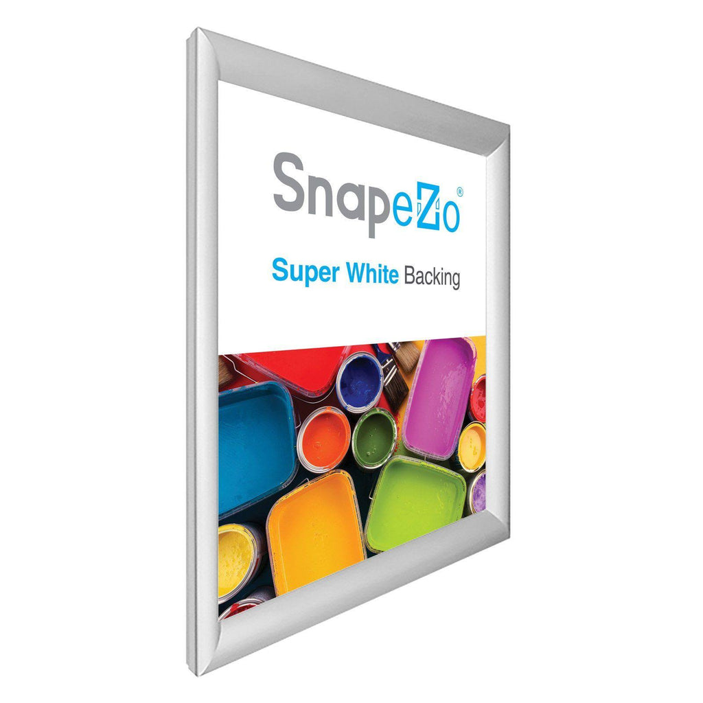 Silver SnapeZo Snap Frame P292