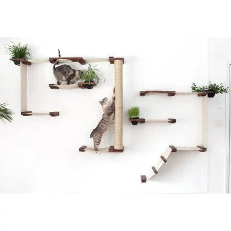 Cat Mod Garden Complex H656346