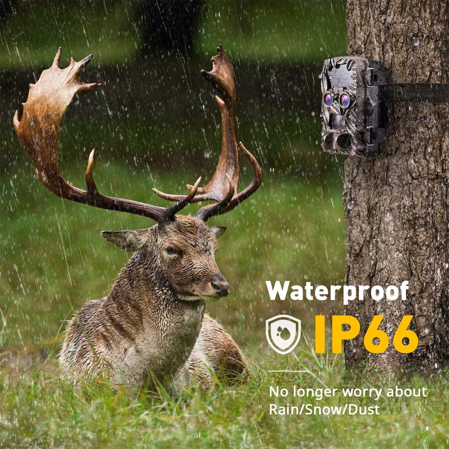 4K 20MP Dual Lens Trail Camera with Night Vision K85785