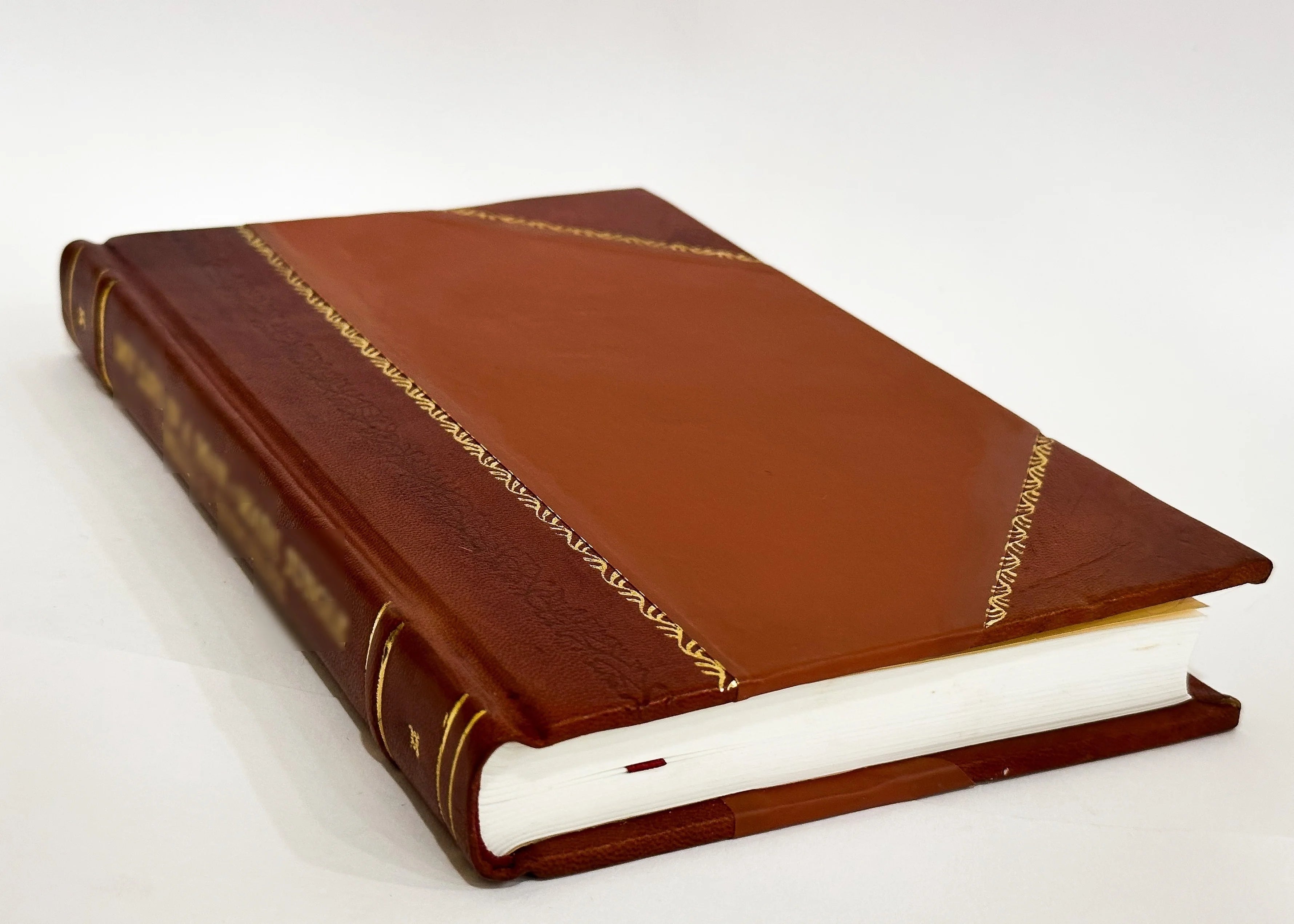 Leather Bound Book P5789