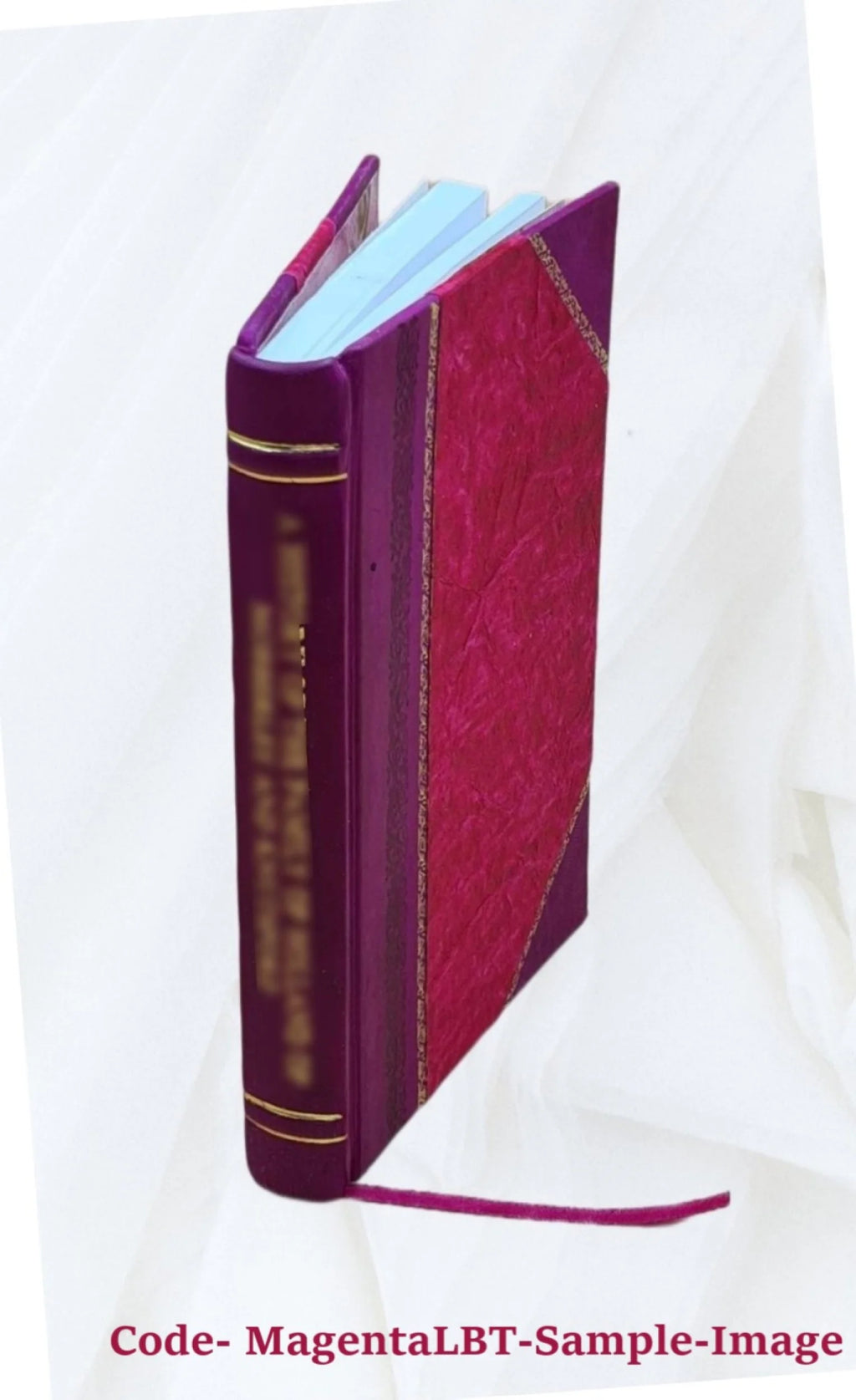 Leather Bound Book Z616
