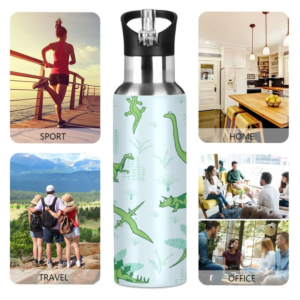 Stainless Steel Vacuum Insulated Water Bottle with Straw Lid 20 OZ E342