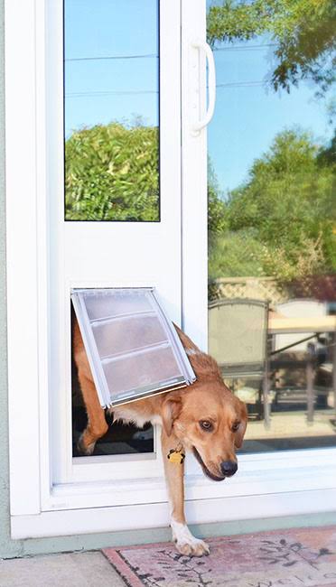 White Aluminum Frame Pet Door Thermo Panel H2259