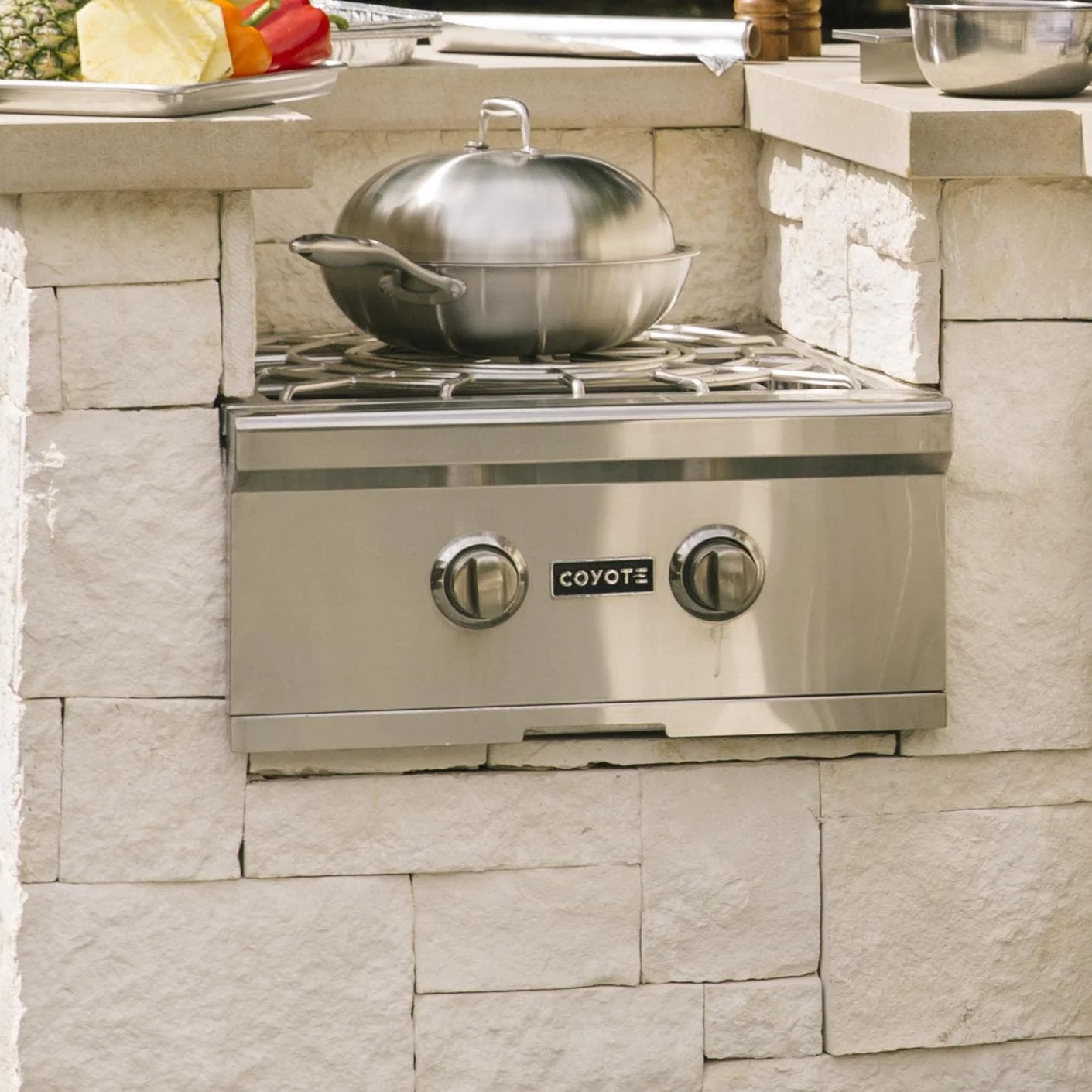Built-In Propane Gas Power Burner N276329