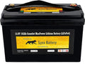 12V 100Ah Lithium Iron Phosphate LiFePO4 Battery with BMS Z492719