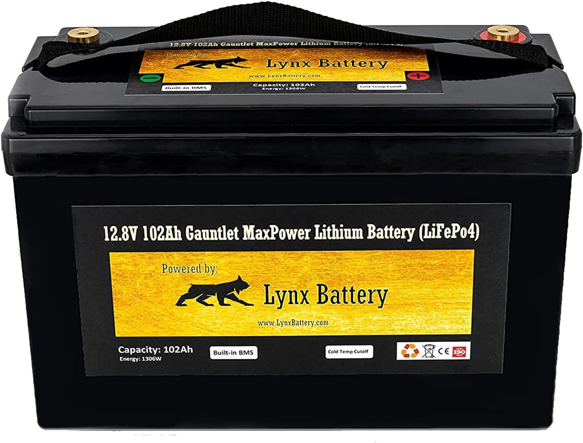 12V 100Ah Lithium Iron Phosphate LiFePO4 Battery with BMS Z492719