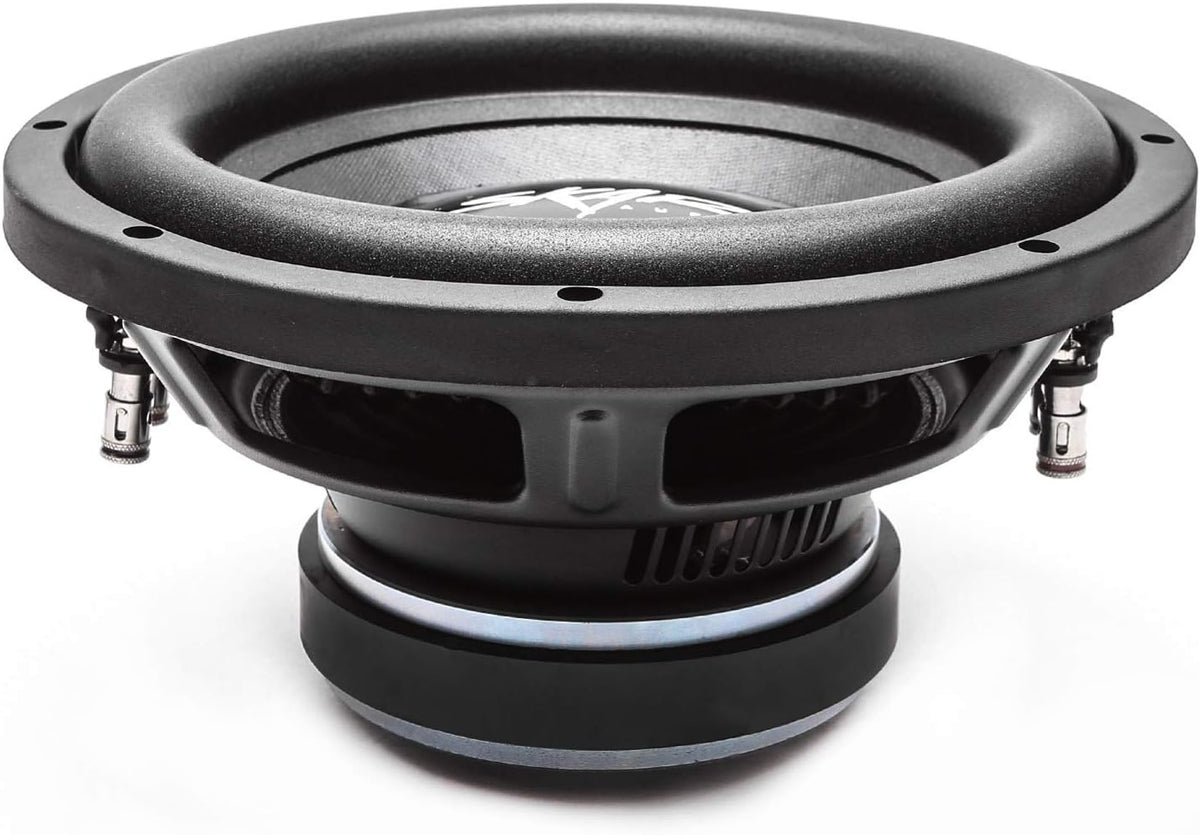 10 400 Watt Dual 2 Ohm Car Subwoofer E4577