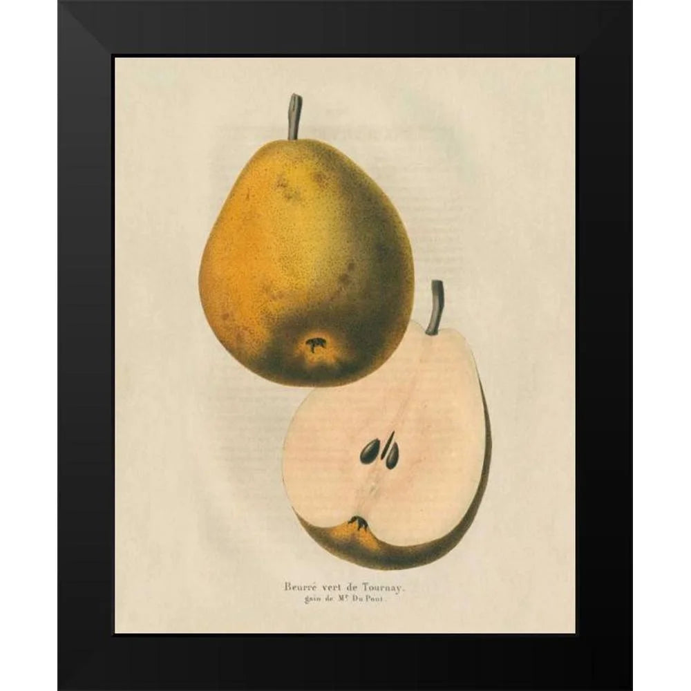 Black Modern Framed Museum Art Print N7832