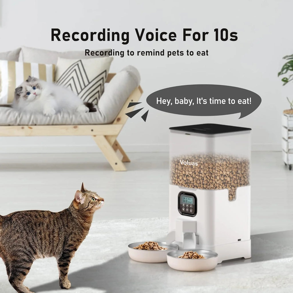 Automatic Cat Feeder with 2 Stainless Steel Bowls, 6L Timed W890