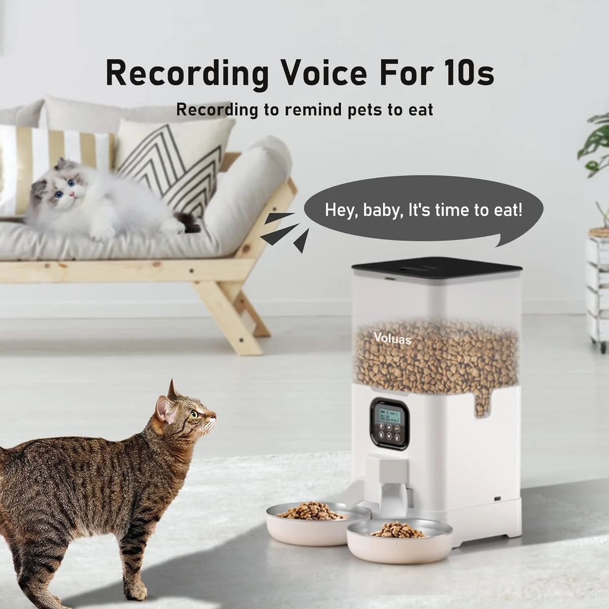 Automatic Cat Feeder with 2 Stainless Steel Bowls, 6L Timed W890