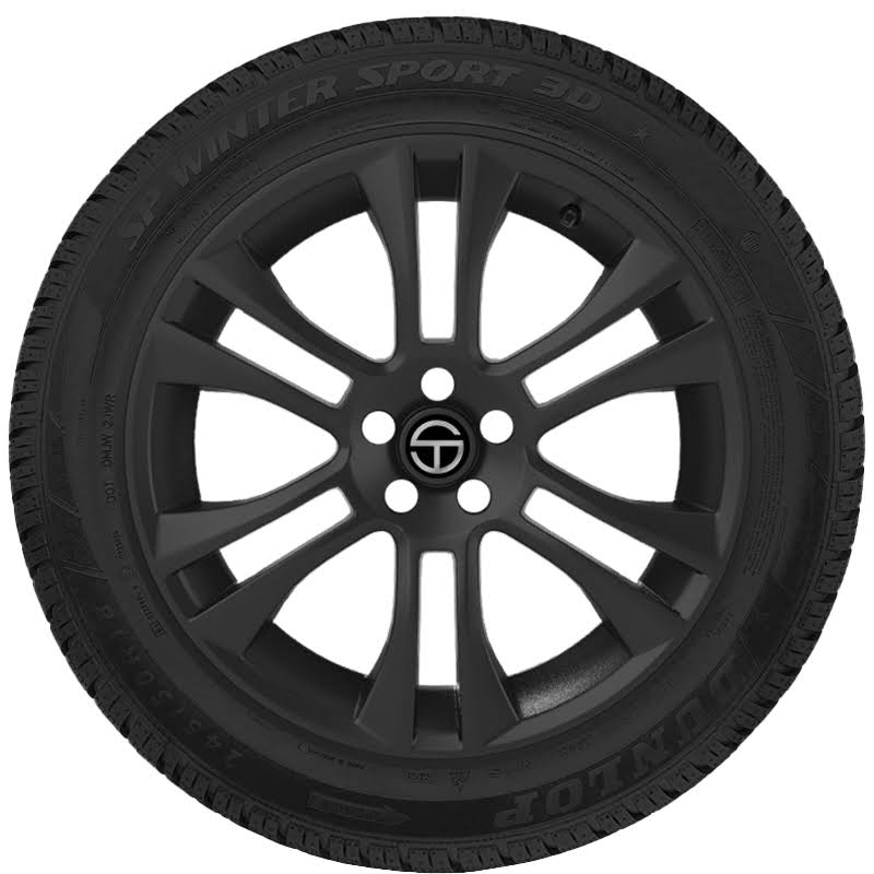 Winter Sport 3D 255/45R20 101v SL Tire T419331