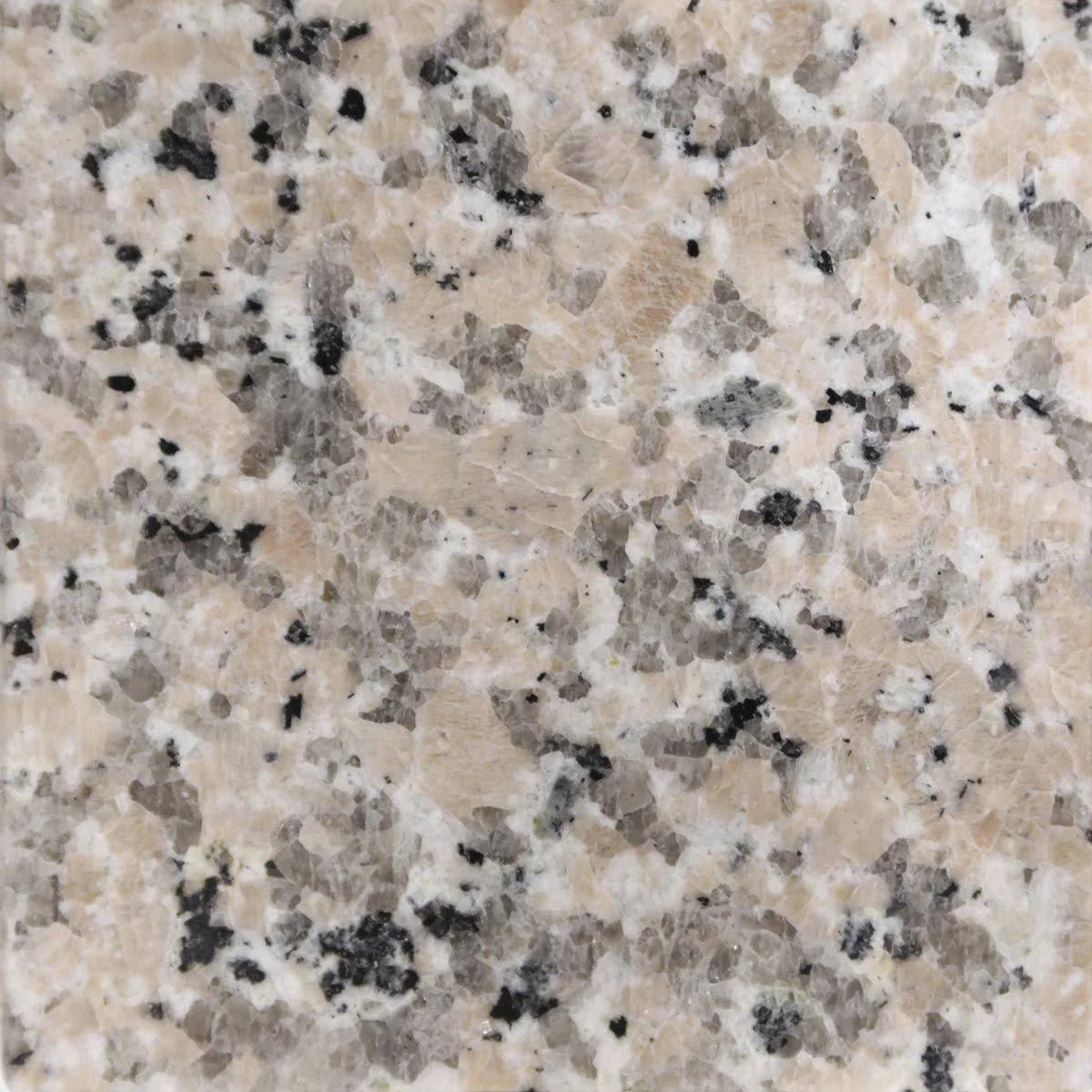 Single Vanity Top with Backsplash U4839
