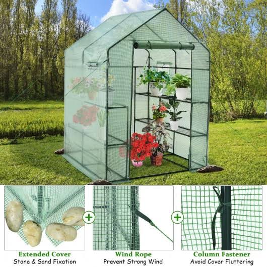 Walk-In Greenhouse with Observation Windows Y7690