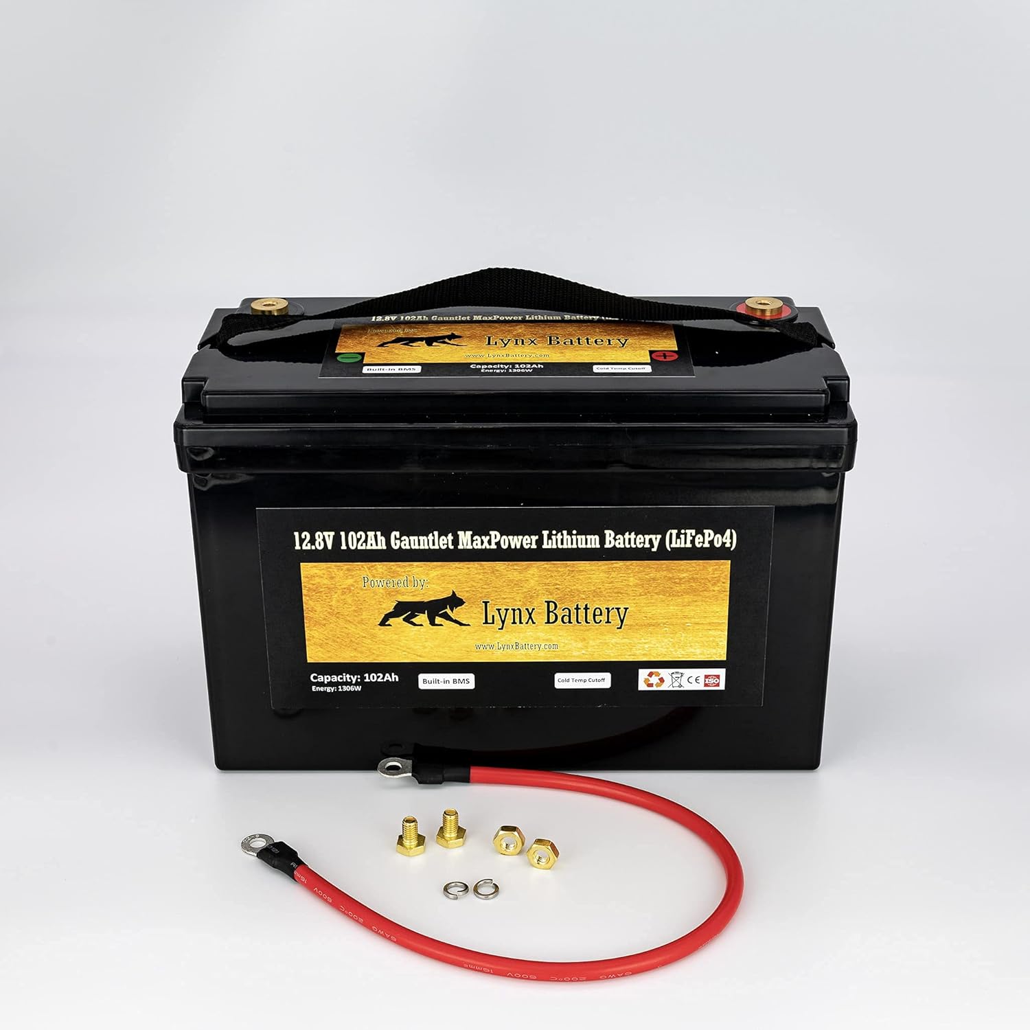 12V 100Ah Lithium Iron Phosphate LiFePO4 Battery with BMS Z492719