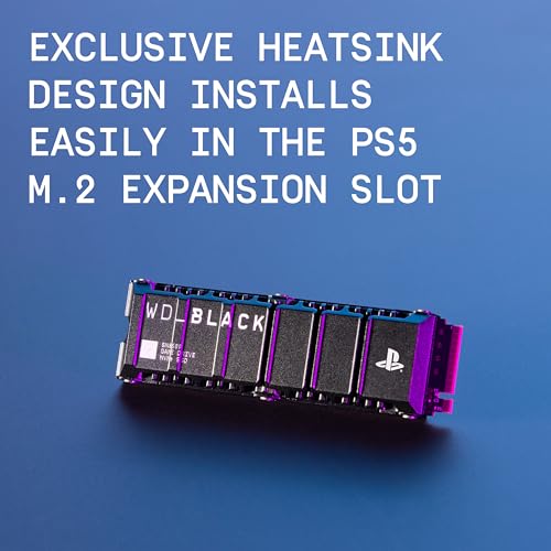 8TB NVMe M.2 SSD with Heatsink R74398