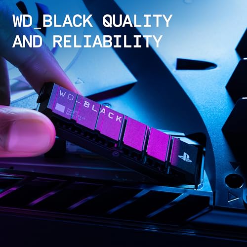 8TB NVMe M.2 SSD with Heatsink R74398