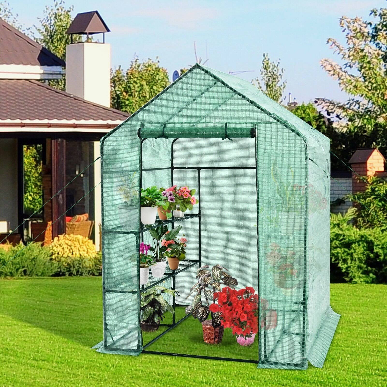 Walk-In Greenhouse with Observation Windows Y7690