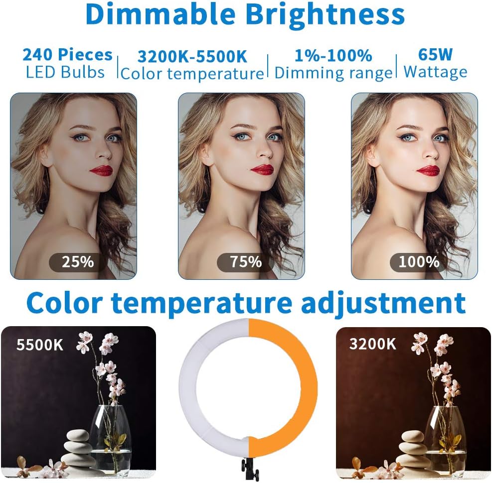 18 inch 65W LED Ring Light with Stand Bag L772824