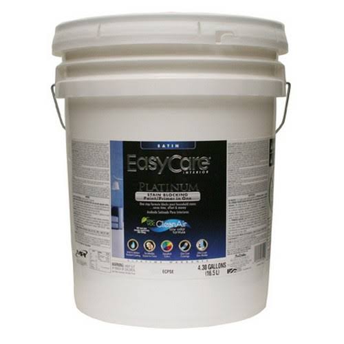 5gal Past Sat Paint D33809