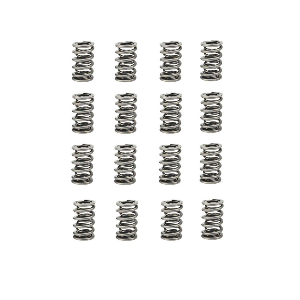 Dual Valve Spring Set H81894