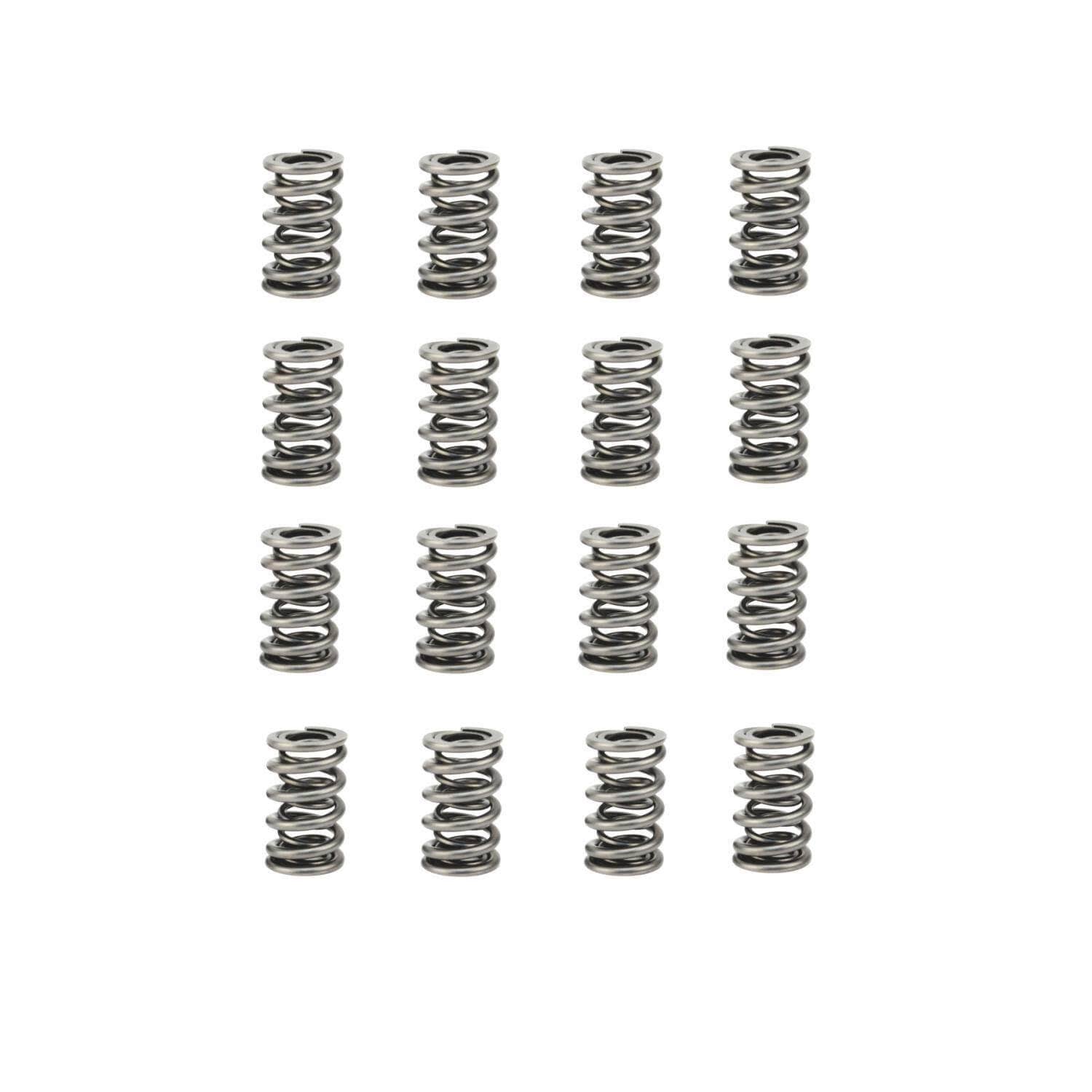 Dual Valve Spring Set H81894