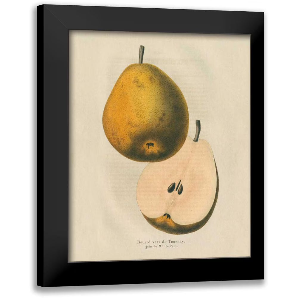 Black Modern Framed Museum Art Print N7832