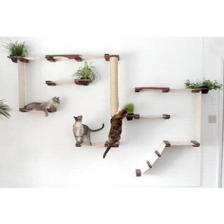 Cat Mod Garden Complex H656346