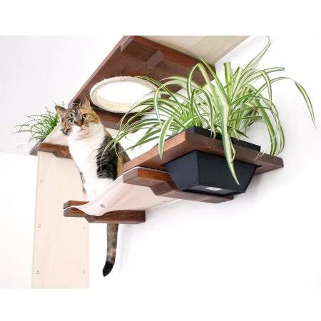 Cat Mod Garden Complex H656346