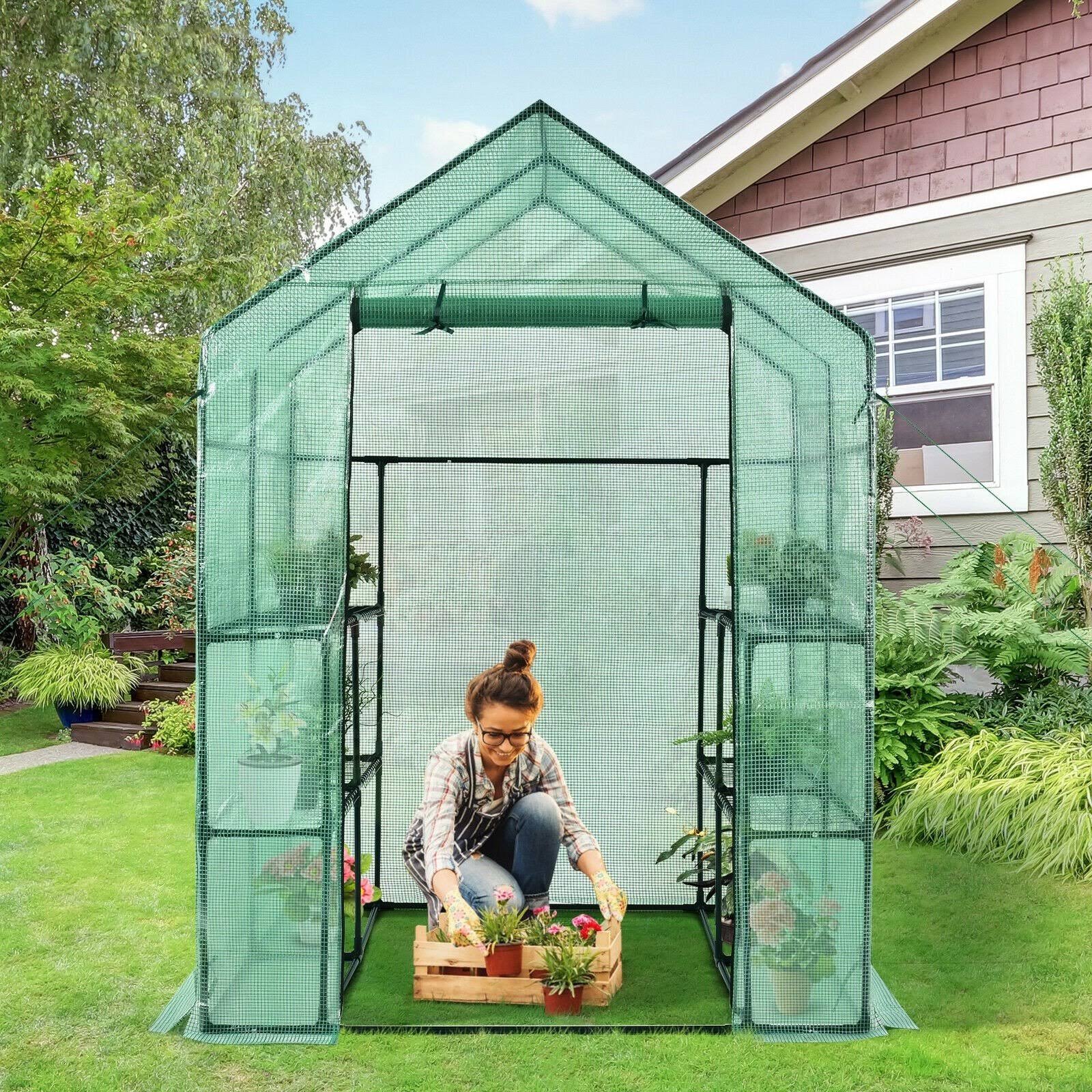 Walk-In Greenhouse with Observation Windows Y7690