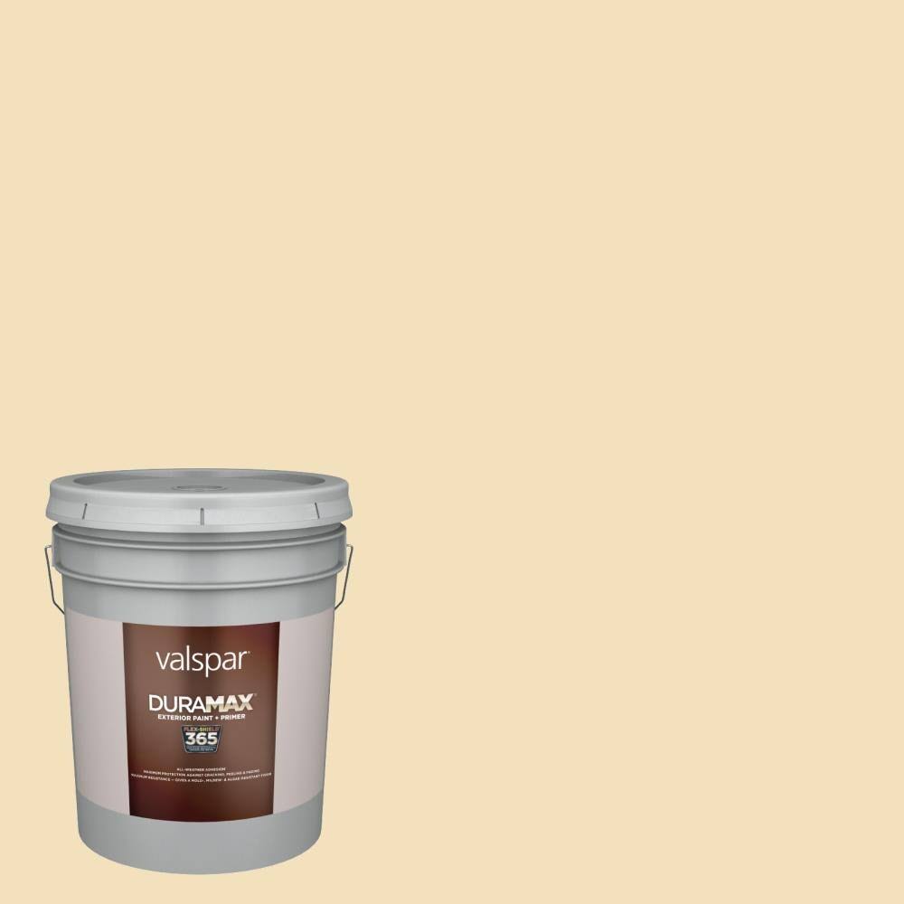 Satin Exterior Paint (5-Gallon) F71957