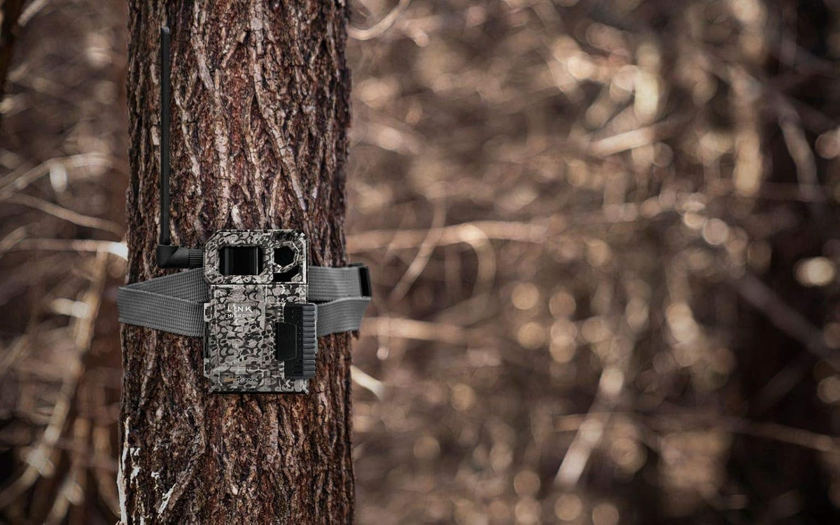Cellular Trail Camera with Mount R214765