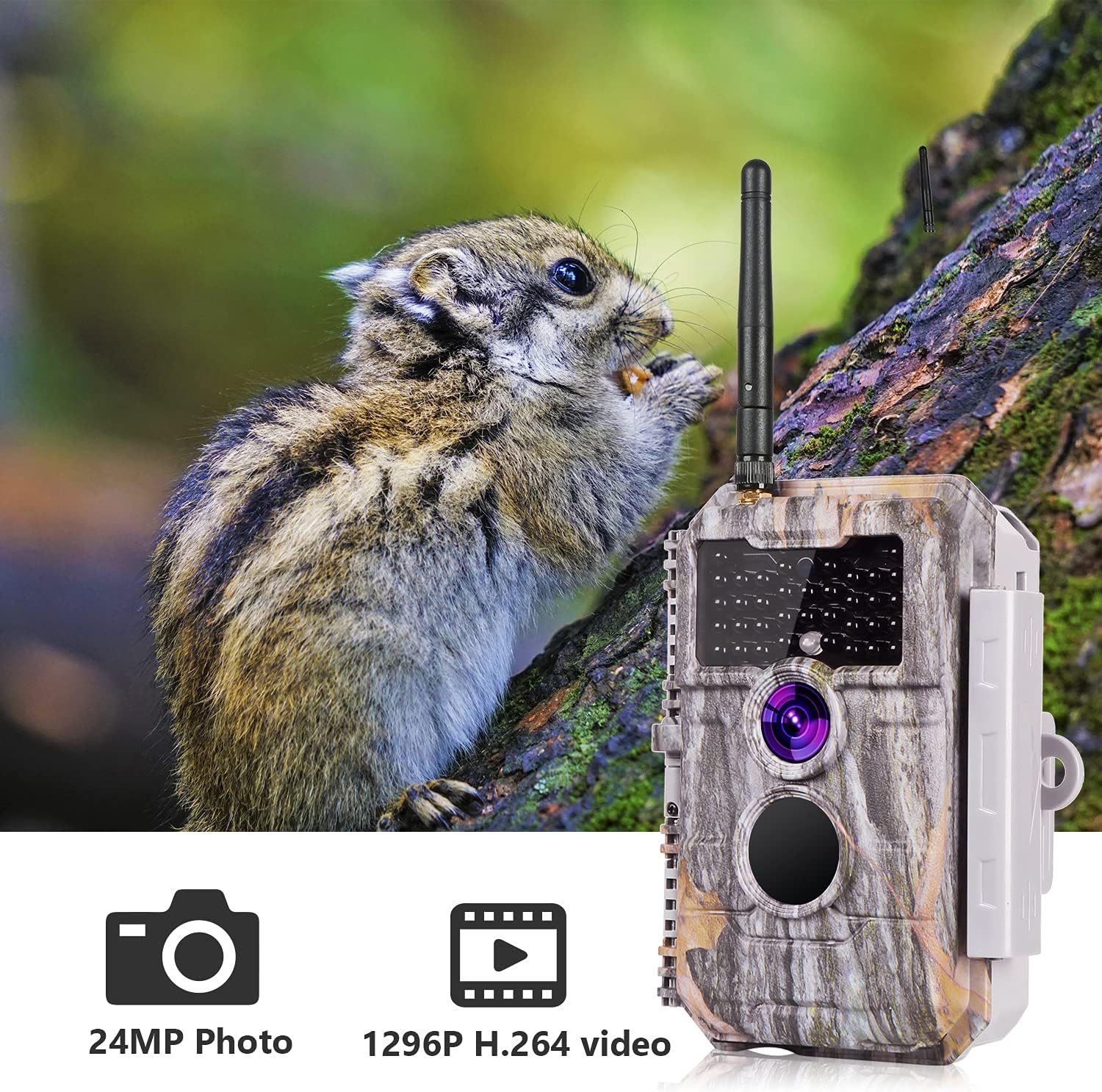 24MP 1296P No Glow Night Vision Waterproof Trail Game Camera Pack of 2 P345