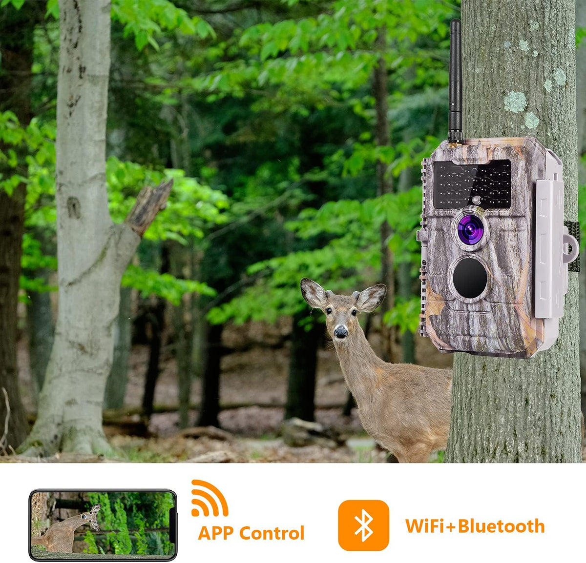 24MP 1296P No Glow Night Vision Waterproof Trail Game Camera Pack of 2 P345
